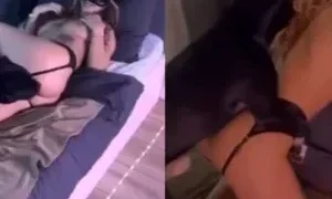 Sex Thú Âu-Mỹ 2025 | VIET69